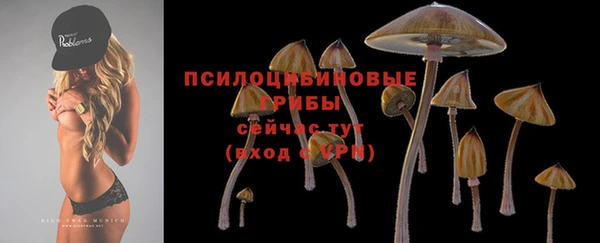 МДМА Киреевск